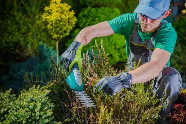 landscaping services Potterville